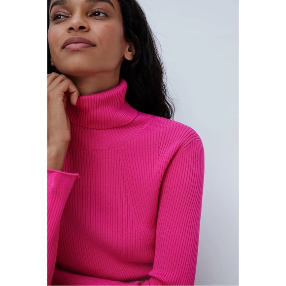 Anthropologie Maeve Parker Ribbed Turtleneck Pink NWT SZ 1X - Picture 3 of 15
